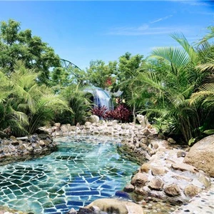 芒果视频森林氧吧温泉池自然环境