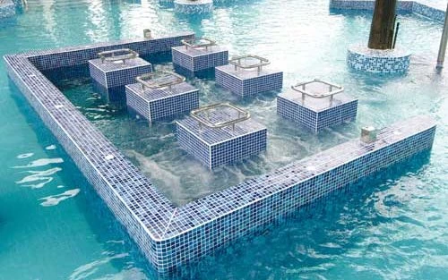 芒果视频养生攻略博客